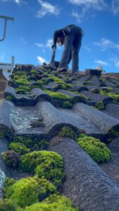 WhatsApp Image 2024-12-04 at 12.25.27 (14)